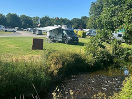 Riverside grass serviced