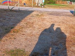 Shadow pic