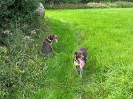 On the walk to the pub at mumby.