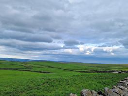 View near campsite