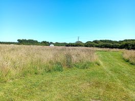 Beautiful camping pitches in nature