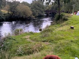 River along the campsite