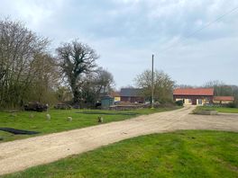 The site