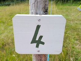 Individual pitches