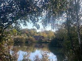 Lake view from camping pod