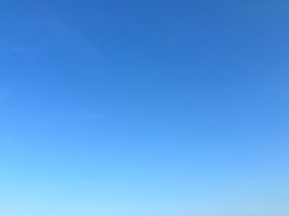 View from yurt
