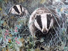 Lovely paintings in the toilets