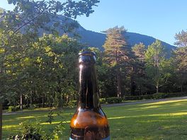 Beer