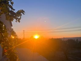 Beautiful sunset view