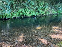 The river-deep enough to swim