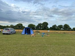 Filed of wheat behind us then tree like is the ridgeway
