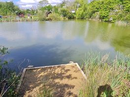 View across the lake