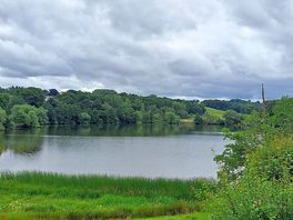 The village lake