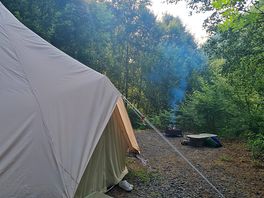 Goshawk tipi