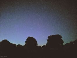 Star gazing at foragers rest. first light.