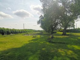 Morning view
