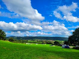 Sprigg farm