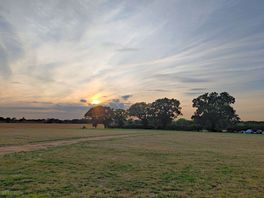 View from my tent