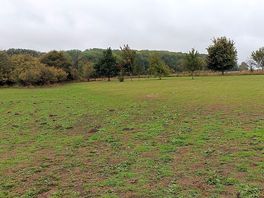 Pitch where you like.