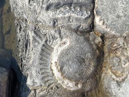 Haven for fossil hunting