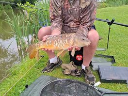 Fishing on site