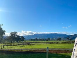 Morning view from tent