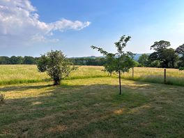 Orchard