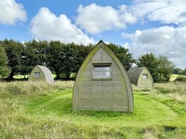View of the pods