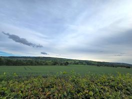 Spectacular view from the site