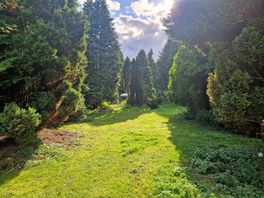 Grounds