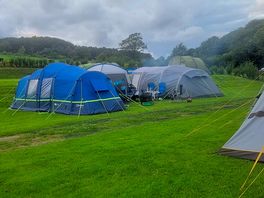 Our pitches