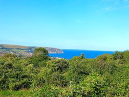 View from campsite