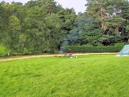 The site
