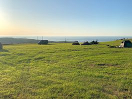Room with a view