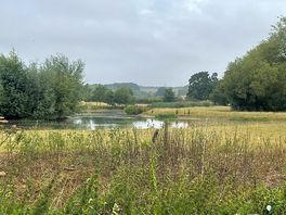 View from our tent 🏕️
