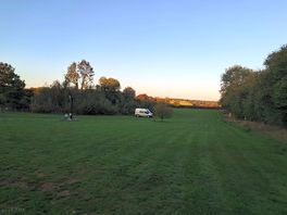 View of the grassed area.