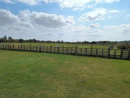 Simon's field