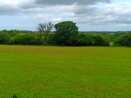 We had one of the camp fields to ourselves.