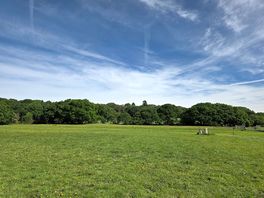 View from tent pitch
