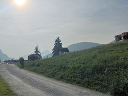 View from my tent