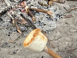 Evening campfire and marshmallows.