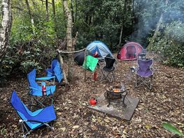 Our private area of the forest