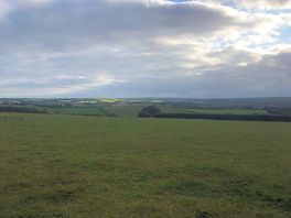 Views of site