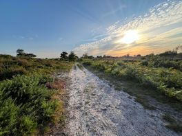 Sunset over hartland heathland