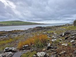 The bay 5 min walk