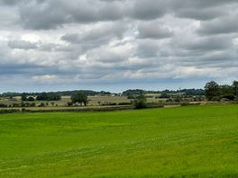 Walks nearby