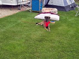 Plenty of room
