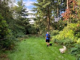 Small walk just 2 minutes from site enough to run dogs but doesn’t go anywhere but handy