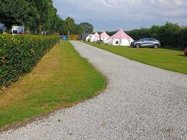Camping field