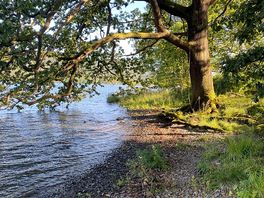 Quiet place to read a book
